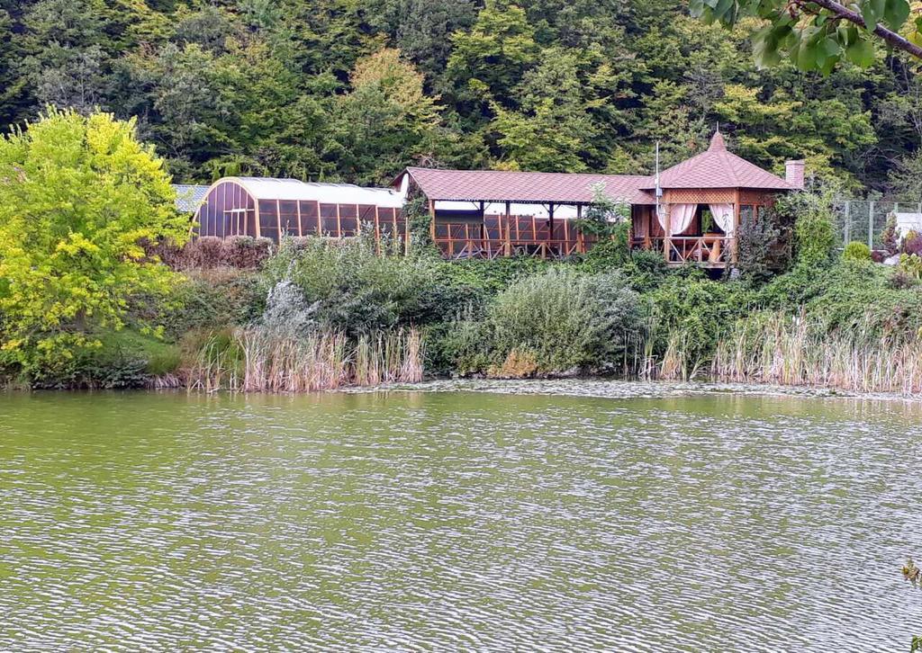 منزل الضيف أوزهورود  في Rancho 555 المظهر الخارجي الصورة